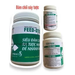 Bung đọt, bắn tược, xanh lá, 100gr cho 20 lít nước. 4