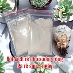 Bột kích rễ dành sen đá và xương rồng. Chỉ dành cho sen đá và họ xương rồng. 2