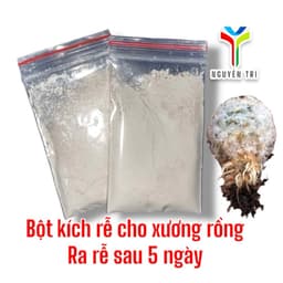 Bột kích rễ dành sen đá và xương rồng. Chỉ dành cho sen đá và họ xương rồng. 1