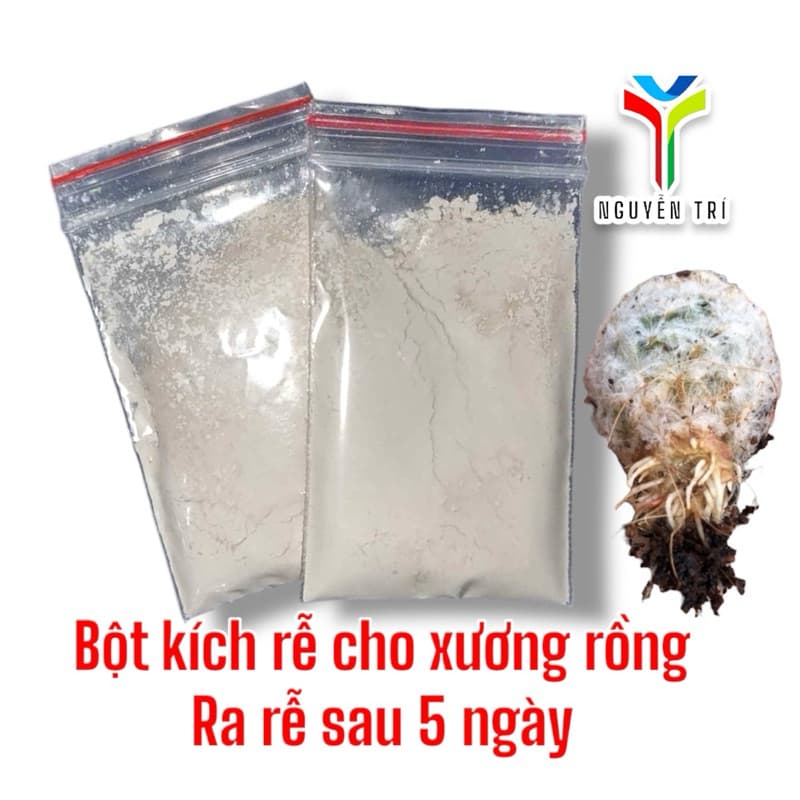 Bột kích rễ dành sen đá và xương rồng. Chỉ dành cho sen đá và họ xương rồng.