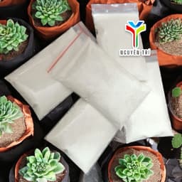 Bột kích rễ dành sen đá và xương rồng. Chỉ dành cho sen đá và họ xương rồng. 4
