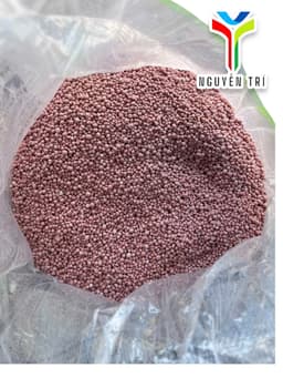 Phân BM Yuroka NPK 16-16-16 nhập khẩu từ Nga dùng cho hoa, rau màu & cây ăn trái bao 25kg 8