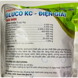 ĐIỆN GIẢI THẢO DƯỢC (Bịch 100g) Giải nhiệt, chống mất nước cho gà, heo... 2
