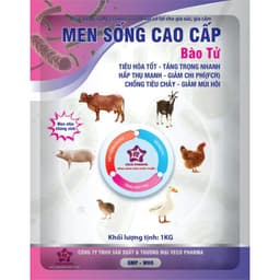 MEN SỐNG BÀO TỬ CAO CẤP (Bịch 0.5KG) Tăng hệ miễn dịch và tiêu hoá tốt, mùi thơm kích thèm ăn cho gia súc gia cầm 3