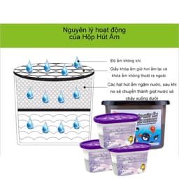 Hộp Hút Ẩm Khử Mùi Hương Lavender Giúp Nhà Bạn Luôn Khô Ráo 230gr 5