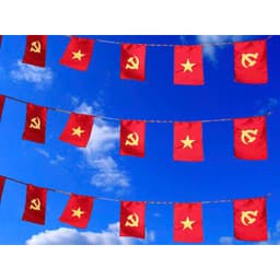 Dây 20 lá cờ treo, dây cờ Việt Nam, dây cờ Tổ Quốc , Đảng trang trí Tết,lễ hội dài gồm 20 cờ 6