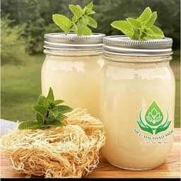 ✅[HÀNG LOẠI 1] Rong Sụn Trắng 1Kg Loại Ngon Làm Gỏi Nấu Chè Rất Tốt Cho Sức Khoẻ 8