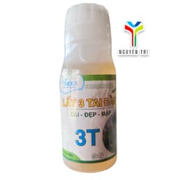 Chế phẩm 3T Lấy 3 Tai Đầu – Giúp trái thanh long dài đẹp mập, nuôi búp khỏe PUKKA 100ml 1
