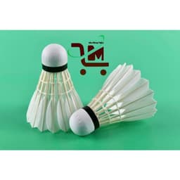 Ống 12 Trái Cầu Lông KING SL003/SL005Giá Thành Thấp,Thích Hợp Cho Người Mới Đánh Cầu,Tiết Kiệm,Tốc Độ Bay,Quỹ Đạo Chuẩn 5