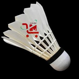 Ống 12 Trái Cầu Lông KING SL003/SL005Giá Thành Thấp,Thích Hợp Cho Người Mới Đánh Cầu,Tiết Kiệm,Tốc Độ Bay,Quỹ Đạo Chuẩn 6