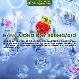 Máy khử khuẩn MIKOR MR11 - Khử khuẩn thực phẩm rau củ quả 5