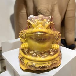 Cóc tỳ đá màu vàng đặt ban thần tài RỒNG VIỆT, thiềm thừ tỳ hưu đá đúc đài loan xoay 360 2