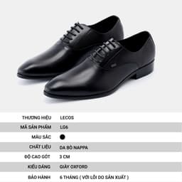 Giày Tây Nam LECOS LG6 Da Thật May Thủ Công Phối Vest Lịch Lãm 3