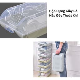 Máy Sấy Giày Khử Mùi Shoe Dayer Xoay 360 độ và Hộp Đựng Giày Có Nắp Đậy Thoát Khí. LMS 8