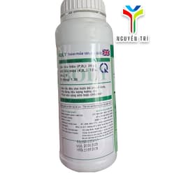 Phân Bón Lá DP98 Boly 1L – Siêu Lân Giải Độc Phèn, Kích Ra Hoa Nhanh 5