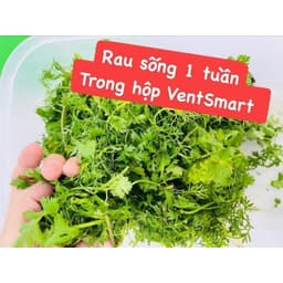 Hộp Trữ mát Ventsmart 4.4L Nút Hô Hấp Thông Minh Tupperware 8
