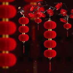 🏮05 QUẢ Đèn lồng đỏ nhung mini Trang trí Tết - Phụ kiện decor tết 2025, đèn lồng treo cây cảnh mini, trang trí mùa xuân 3