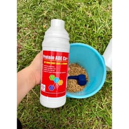 Bộ đôi nuôi gà đá Protein ADE Ca+ 1 Lít và Daephos Canxi khoáng hữu cơ 1 Lít - Nở khung xương, chắc xương, tăng bo 4