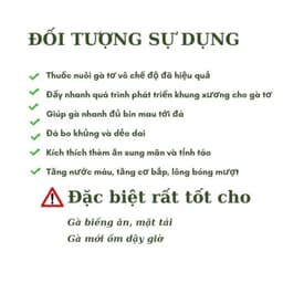 Bộ đôi nuôi gà đá Protein ADE Ca+ 1 Lít và Daephos Canxi khoáng hữu cơ 1 Lít - Nở khung xương, chắc xương, tăng bo 3