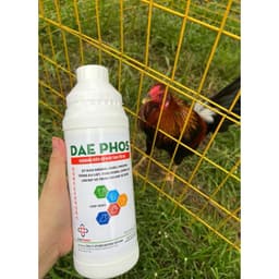 Bộ đôi nuôi gà đá Protein ADE Ca+ 1 Lít và Daephos Canxi khoáng hữu cơ 1 Lít - Nở khung xương, chắc xương, tăng bo 5