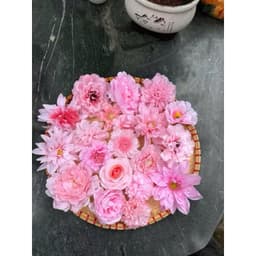 Set 20 đầu bông hoa mix các mẫu,  nhiều tone màu trang trí hộp quà, decor, giỏ hoa quả..(MIX HOA NGẪU NHIÊN) 6