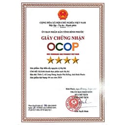 Hạt điều sấy nguyên vị không lụa không muối. Có hồ sơ công bố, xuất hóa đơn công ty đầy đủ 6