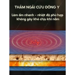 COMBO Thảm Ngải Cứu + Gối(To) Ngải Cứu Đông Y Hỗ Trợ Giảm Đau Nhức Xương Khớp, Giúp Ngủ Ngon, Tuần Hoàn Máu 3
