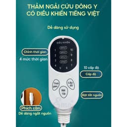 COMBO Thảm Ngải Cứu + Gối(To) Ngải Cứu Đông Y Hỗ Trợ Giảm Đau Nhức Xương Khớp, Giúp Ngủ Ngon, Tuần Hoàn Máu 8