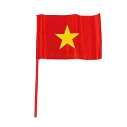 Combo 10 cái Cờ vẫy cầm tay vải phi bóng đẹp khai giảng in 1 mặt, in 2 mặt 3