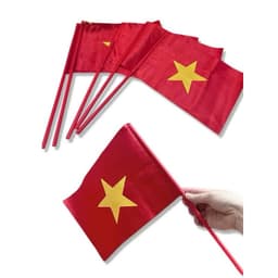 Combo 10 cái Cờ vẫy cầm tay vải phi bóng đẹp khai giảng in 1 mặt, in 2 mặt 7