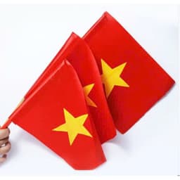 Combo 10 cái Cờ vẫy cầm tay vải phi bóng đẹp khai giảng in 1 mặt, in 2 mặt 4