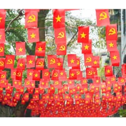 Dây 20 lá cờ treo, dây cờ Việt Nam, dây cờ Tổ Quốc , Đảng trang trí Tết,lễ hội dài gồm 20 cờ 4