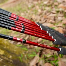 Cần câu Lk Hòa giá sinh viên bản mới 2025 dài 2m08 2