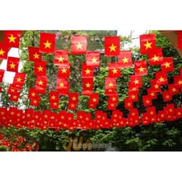 Cờ dây sao, cờ dây tổ quốc, chất liệu vải phi bóng 2025 4