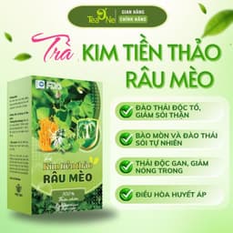 [COMBO 3 HỘP] Trà Kim Tiền Thảo Râu Mèo Túi Lọc Bổ Thận, Lợi Tiểu, Mát Gan, Giảm Sỏi Thận 2