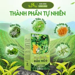 [COMBO 3 HỘP] Trà Kim Tiền Thảo Râu Mèo Túi Lọc Bổ Thận, Lợi Tiểu, Mát Gan, Giảm Sỏi Thận 3