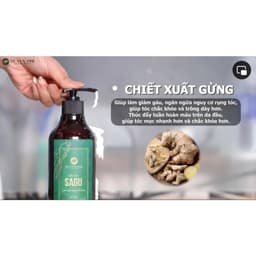 Combo Dầu Gội Xả Gừng Sâm SAGU Huyền Phi Ngăn Rụng Tóc, Kích Thích Mọc Tóc 4