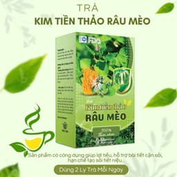 [COMBO 3 HỘP] Trà Kim Tiền Thảo Râu Mèo Túi Lọc Bổ Thận, Lợi Tiểu, Mát Gan, Giảm Sỏi Thận 6