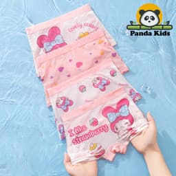 (SIÊU MÁT) Combo 4 quần chíp đùi cho bé gái họa tiết Princess Hồng Lưới dễ thương, quần lót tam giác mềm mịn thoáng khí 7