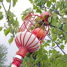 Giỏ hái trái cây dụng cụ giật hái trái cây lồng vặt hoa quả trên cao tiện lợi HT-shopls 1