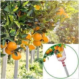 Giỏ hái trái cây dụng cụ giật hái trái cây lồng vặt hoa quả trên cao tiện lợi HT-shopls 5