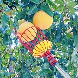 Giỏ hái trái cây dụng cụ giật hái trái cây lồng vặt hoa quả trên cao tiện lợi HT-shopls 7