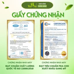 [COMBO 3 HỘP] Trà Kim Tiền Thảo Râu Mèo Túi Lọc Bổ Thận, Lợi Tiểu, Mát Gan, Giảm Sỏi Thận 9