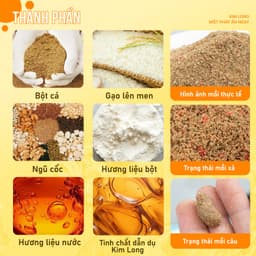 Mồi Câu Chép Vương KIM LONG 500g - 3 Trong 1 (kèm hương liệu và gạo xả) 4