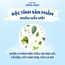 Khăn ướt hữu cơ Anbeis không mùi, chứa tinh chất trà xanh an toàn cho da nhạy cảm hộp 100 tờ 4
