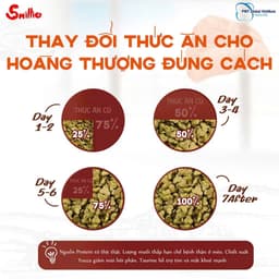 [BAO 20KG] Thức Ăn Hạt Smillie Cho Mèo Trưởng Thành Vị Cá Hồi, ngon bổ rẻ 6