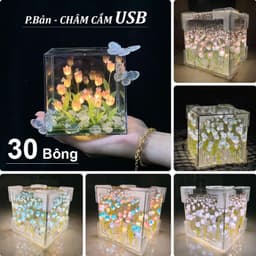 🔥(TÚI + THIỆP) Hộp đèn ngủ hoa TULIP HÌNH VUÔNG tặng người yêu 20/10 , Hoa Tulip 12cm TẶNG sinh nhật, Đèn HANDmade 3