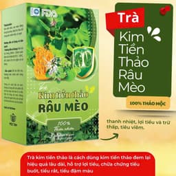 [COMBO 3 HỘP] Trà Kim Tiền Thảo Râu Mèo Túi Lọc Bổ Thận, Lợi Tiểu, Mát Gan, Giảm Sỏi Thận 5