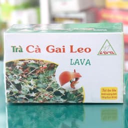 Trà Cà Gai Leo Lava, 100% thân và lá cà gai leo, hỗ trợ thanh nhiệt, mát gan 2