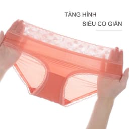 SET 5-10 Quần Lót Nữ Lụa Băng Mềm Phối Cạp Ren Tim Mềm Mại tôn dáng mã 9099 8